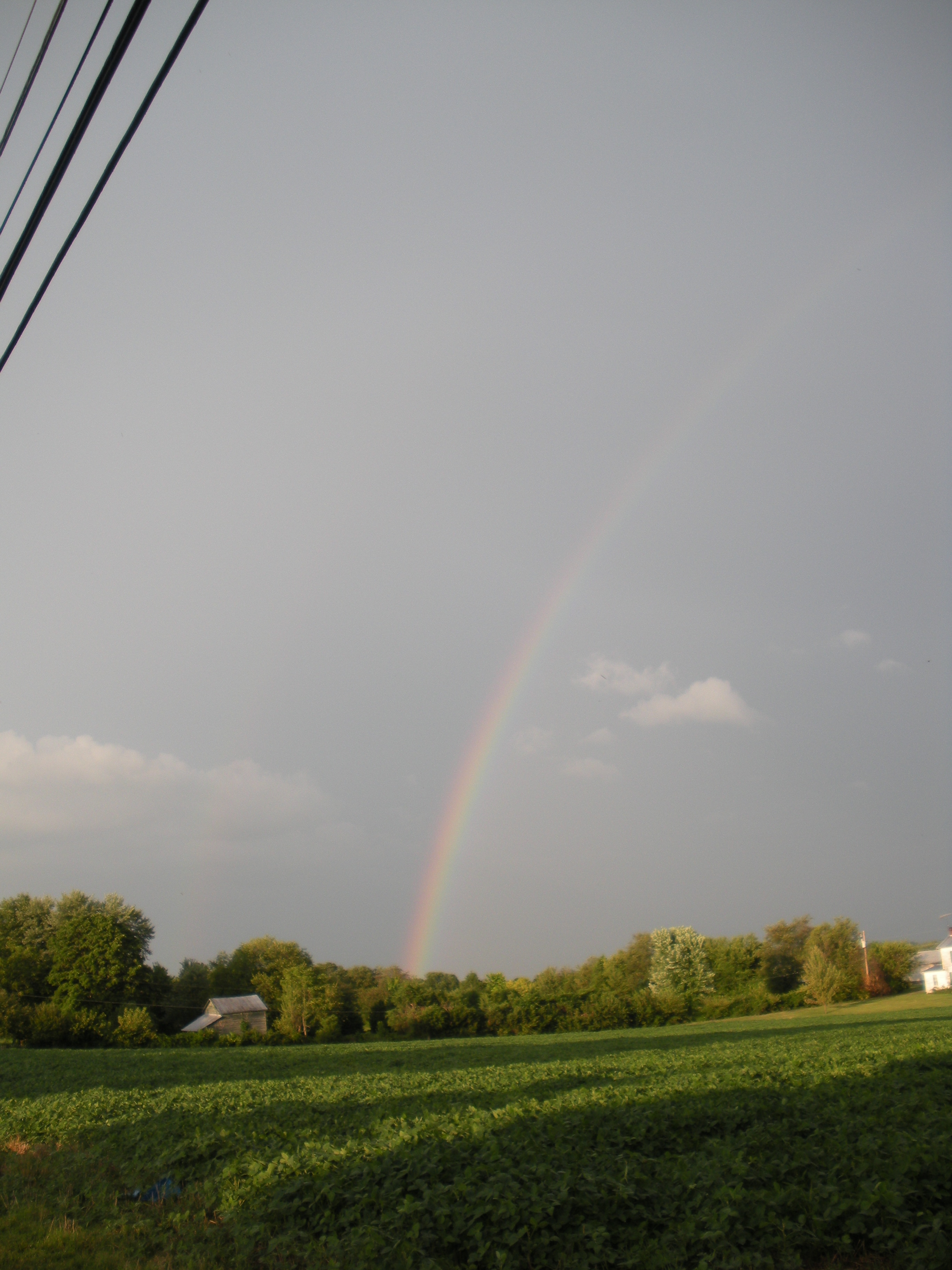 Rainbow